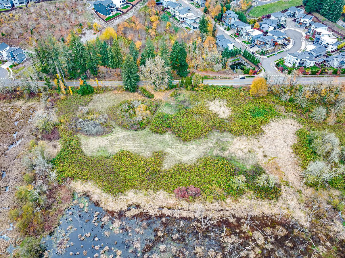 1/2 Think of all the things you could be doing with this land right now.
Cano Real Estate  |  360.823.3333
100 SE Leadbetter Rd
Discover the rare chance to own a piece of paradise at the stunning Lacamas