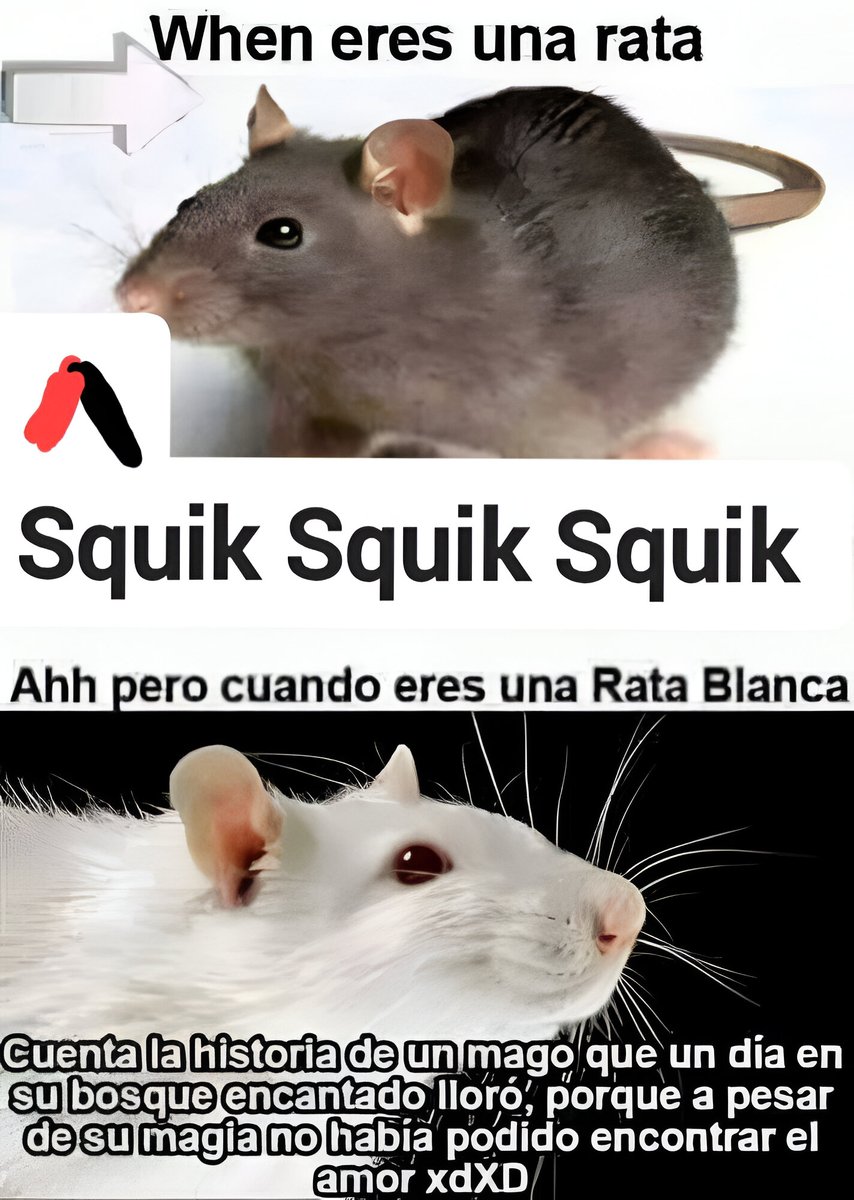 Mr Graso tweet media