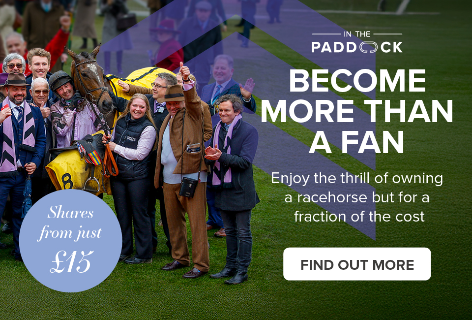 chesterraces tweet media