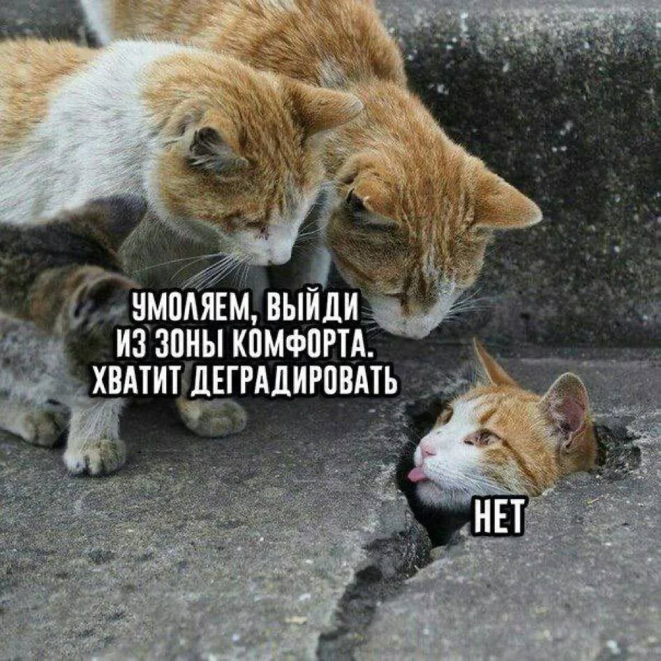 Astronaut tweet media