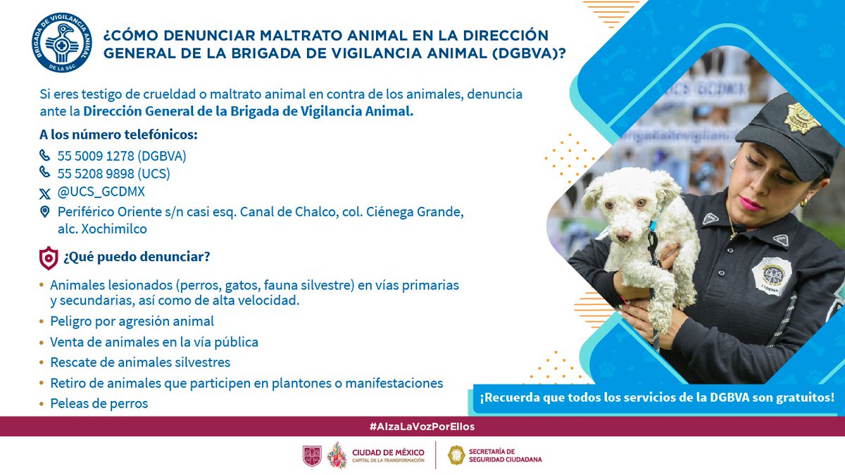 ¿Sabías que el maltrato animal es un delito?
Si eres testigo de una agresión contra ellos puedes reportarla a la Brigada de Vigilancia Animal de la #SSC.👮🏻‍♀️👮🏻‍♂️🐶🐱
Te brindamos los medios de contacto 👇🏼