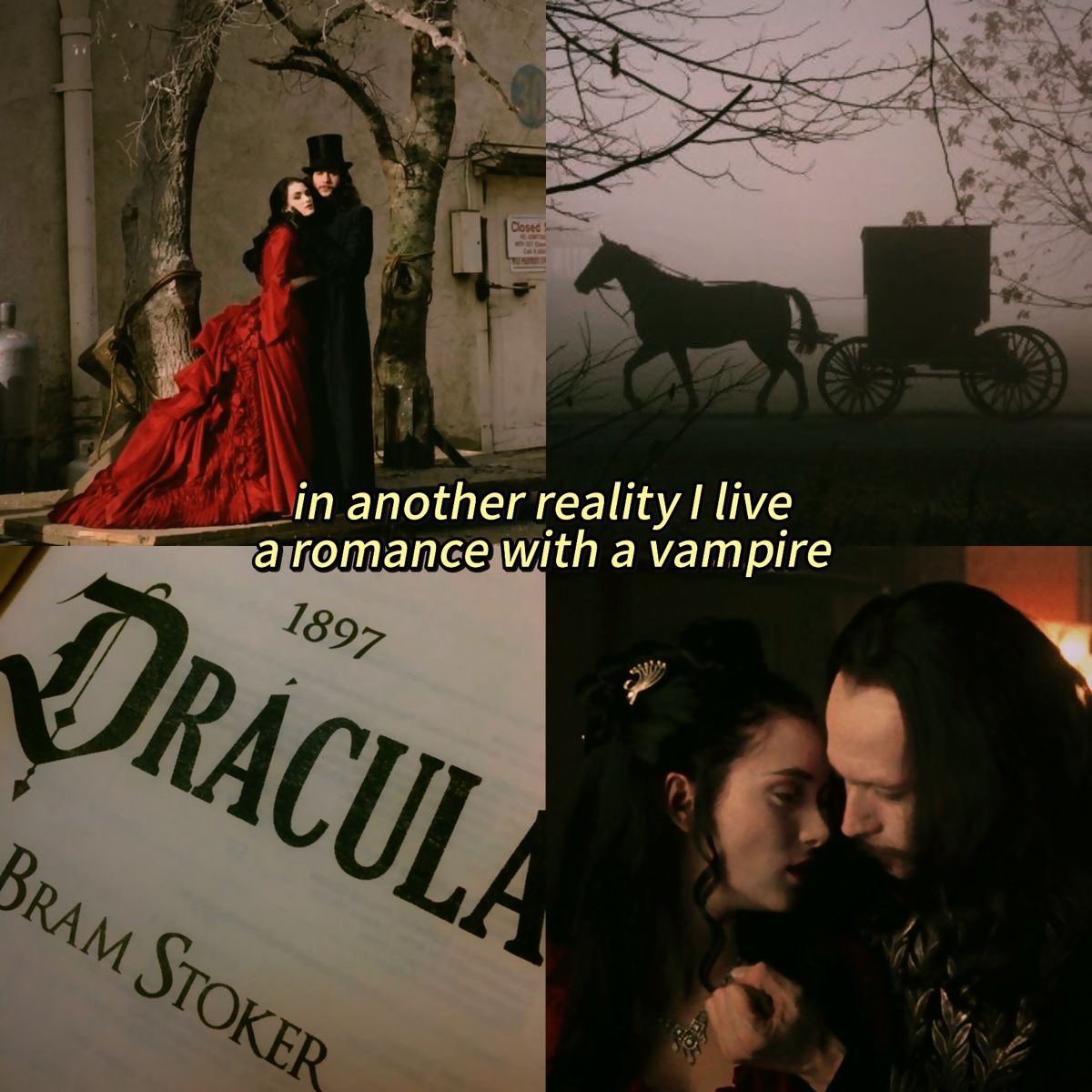 𝔖𝔦𝔩𝔢𝔫𝔠𝔢𝔣𝔬𝔯𝔪𝔶𝔰𝔬𝔲𝔩 (@funeralmind) on Twitter photo 