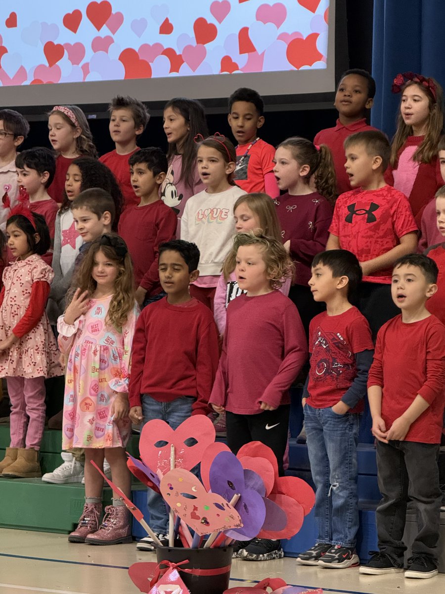 Foxford🦊 tweet media