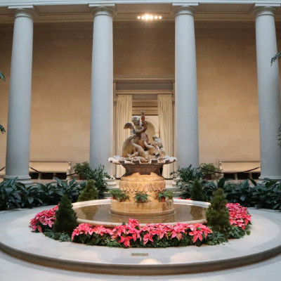 GrandHyattDC's tweet photo. If you’re visiting the National Gallery of Art, take a moment to find the Garden Court in the West Building for one of DC’s quieter museum surprises. https://t.co/ddz11ZLf46