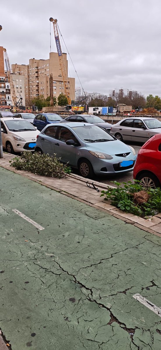 <a href="/Ayto_Sevilla/">Ayuntamiento de Sevilla</a> <a href="/Zaid_urban/">Alejandro Diaz</a> <a href="/Dto_Norte/">Distrito Norte (Sevilla)</a> <a href="/eveliarincon/">Evelia Rincón</a> A 100m de donde publicáis, lleva así desde la primera borrasca, los ciudadanos, como siempre, os tenemos que avisar. A ver si nos pateamos mas el barrio así prevenís, gestionáis y resolvéis de manera general y no selectiva, os falta calle... <a href="/eveliarincon/">Evelia Rincón</a> <a href="/jdelarosa100/">Juan de la Rosa</a> <a href="/Dto_Norte/">Distrito Norte (Sevilla)</a>