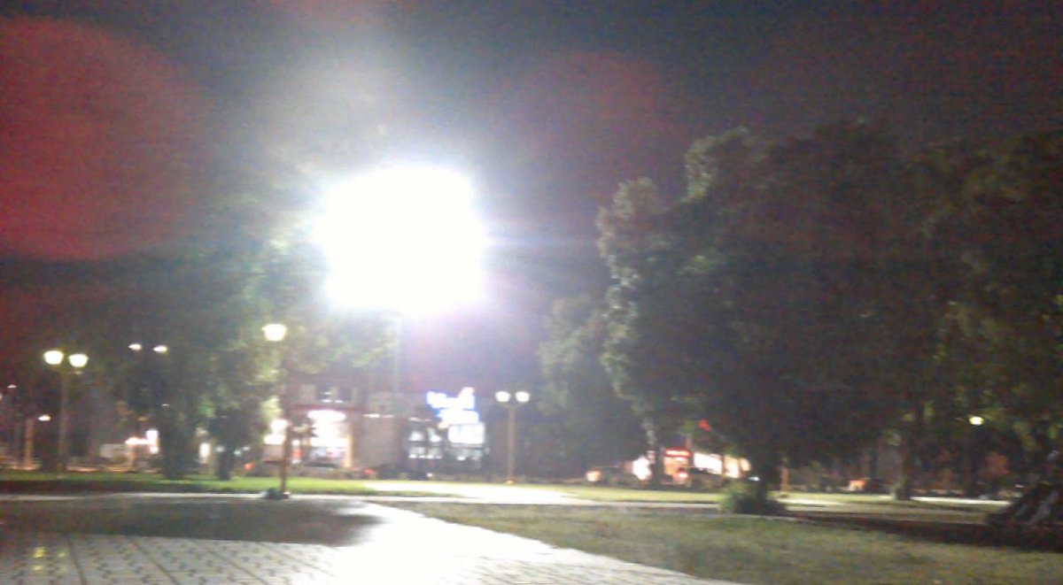 AliceTheshell's tweet image. 