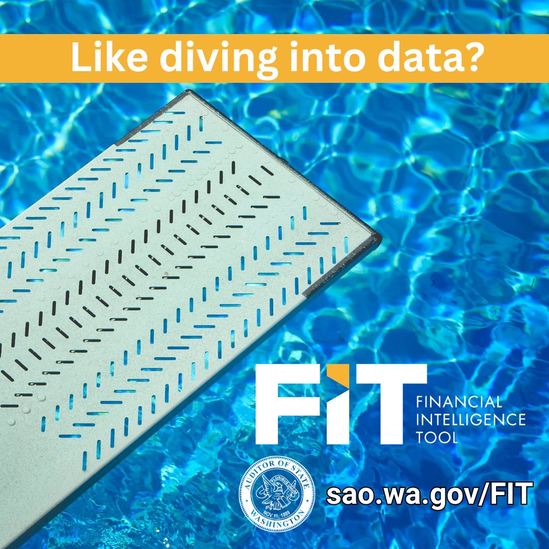 WA State Auditor tweet media