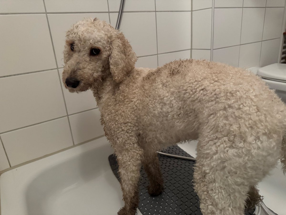 Ich glaub ich schließ heute Nacht mal besser die Tür zum Schlafzimmer ab 😬