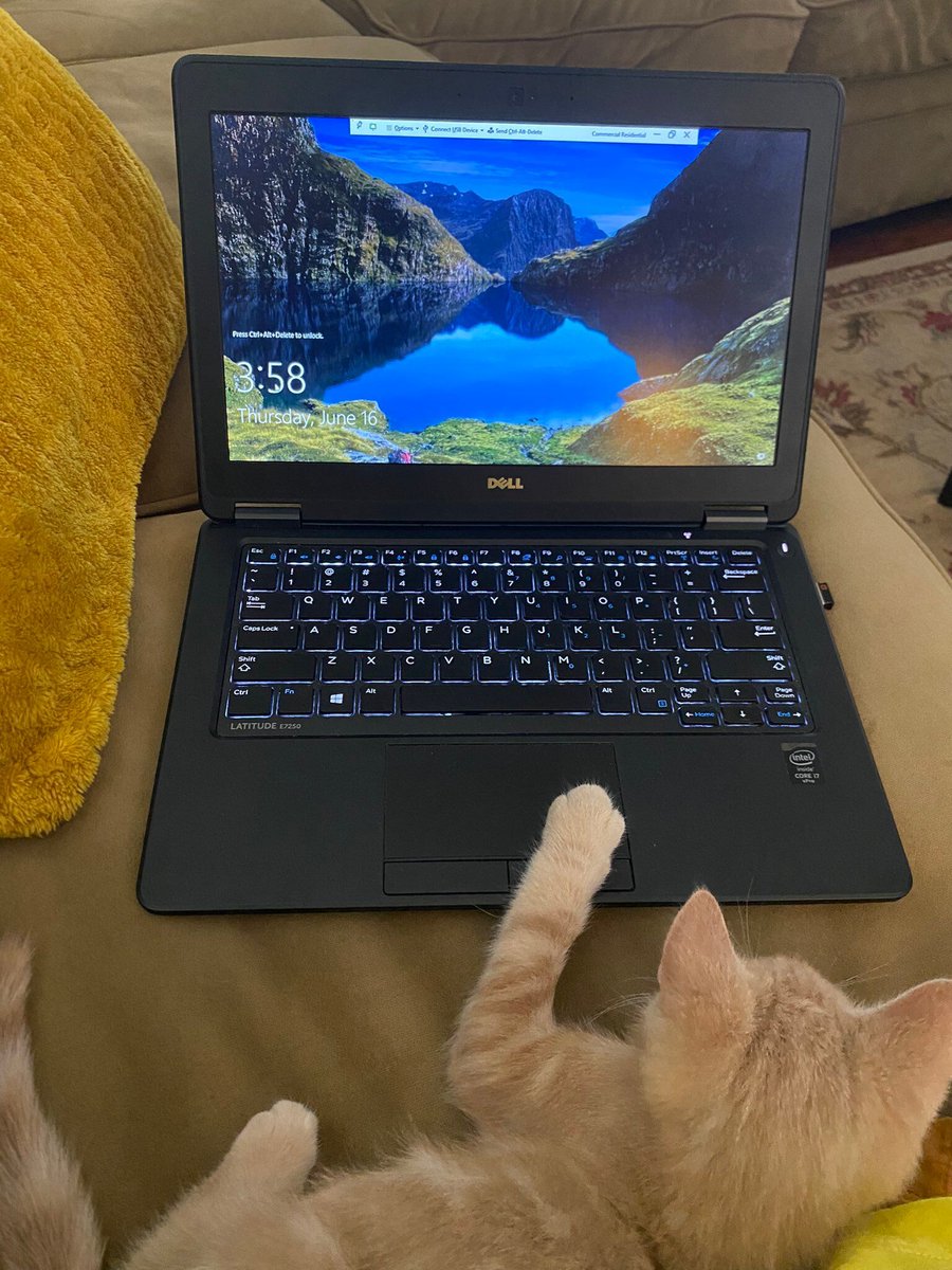 Hacker in training.

📸 smiliano913