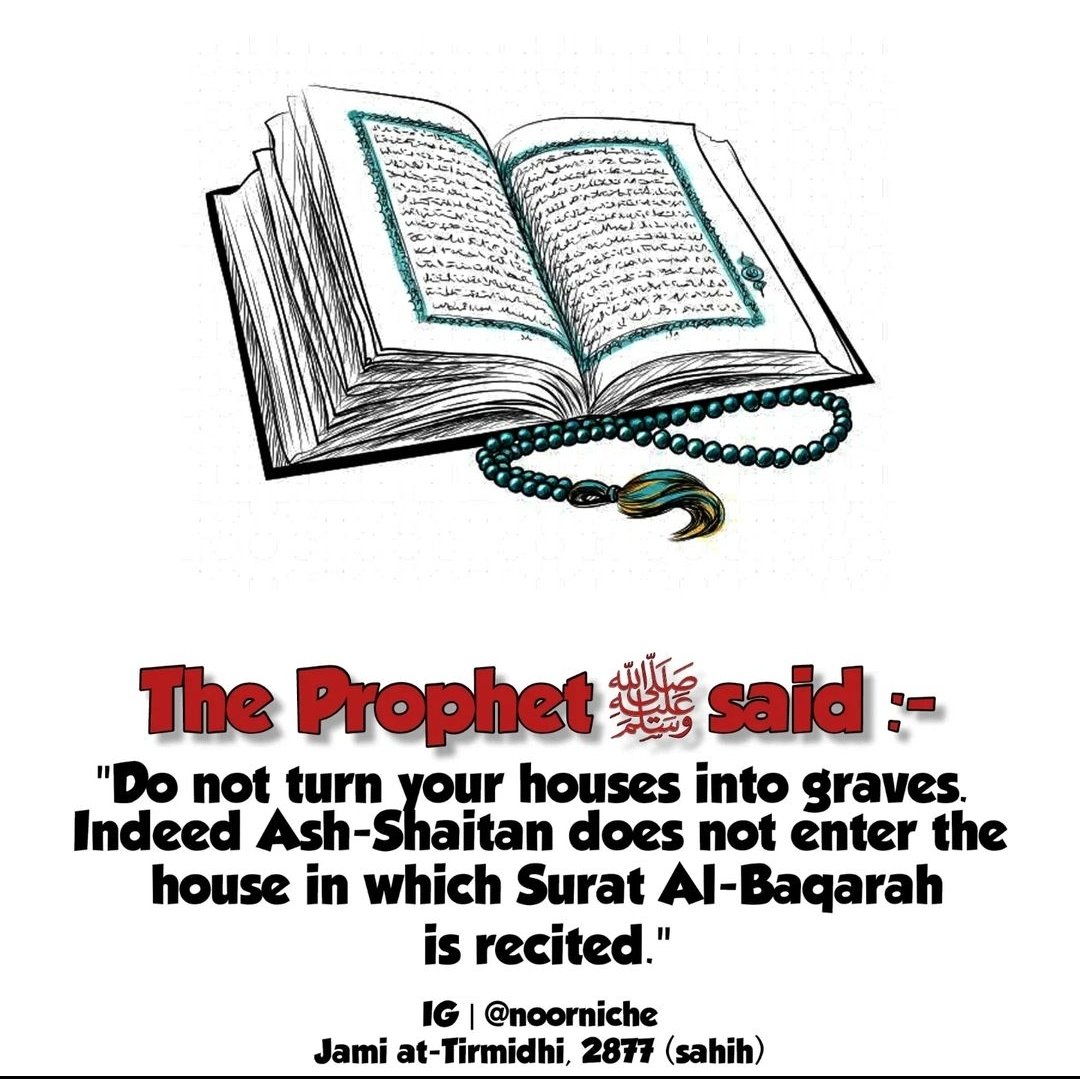 The Prophet (ﷺ) said 📌