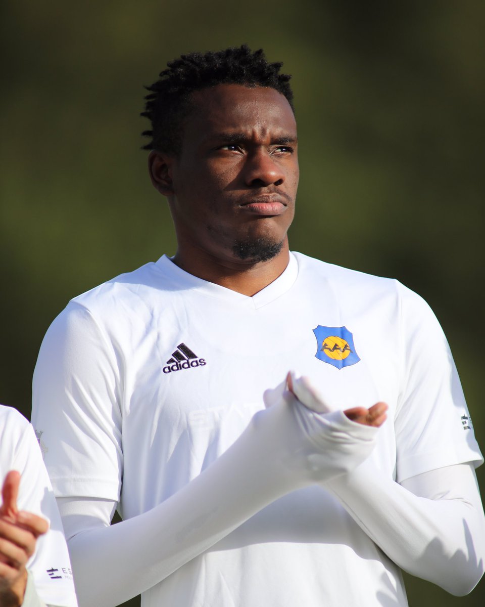 The9thmare🦁 tweet media