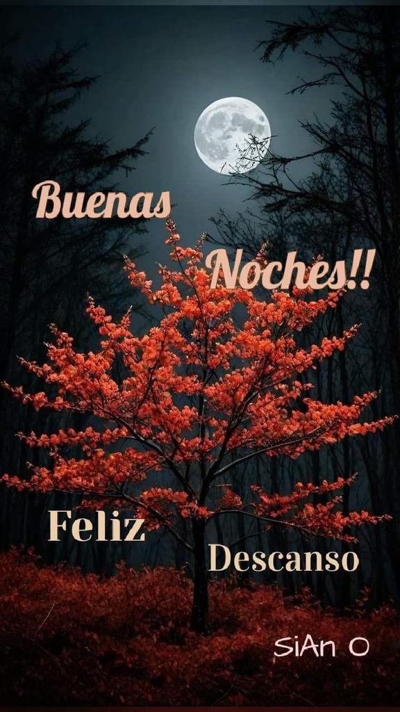 Bona nit.