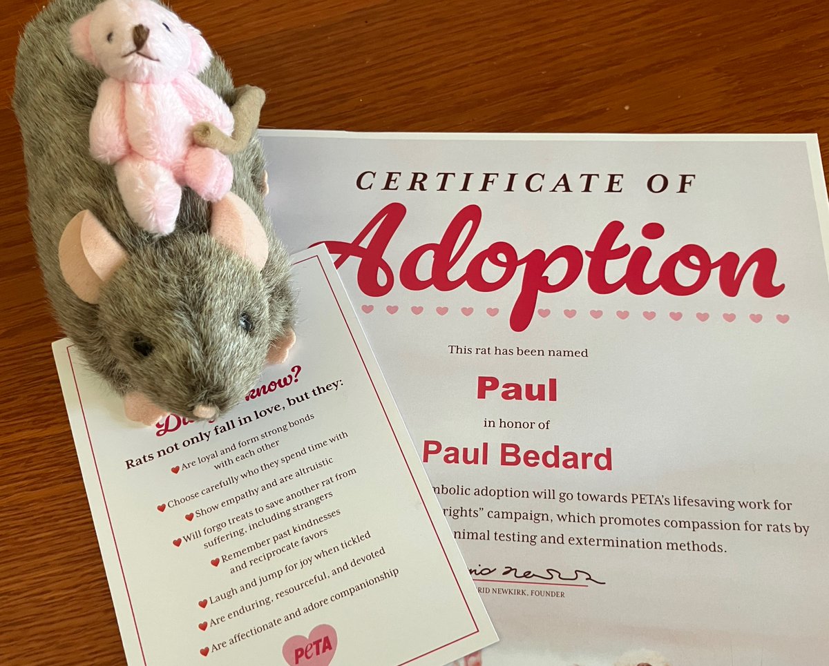 Paul Bedard tweet media