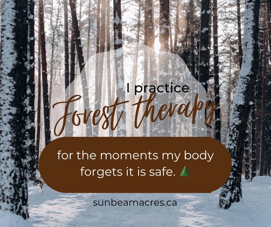 sunbeamacres's tweet photo. Each calm moment outdoors whispers, nothing is chasing you right now.

Repeated often enough, the alarm begins to reset. ⏰ 🤫 

#SunbeamAcres #Polyvagal #ForestBathing #ChronicPainSupport #MindfulnessInNature https://t.co/j38u9GoHWh