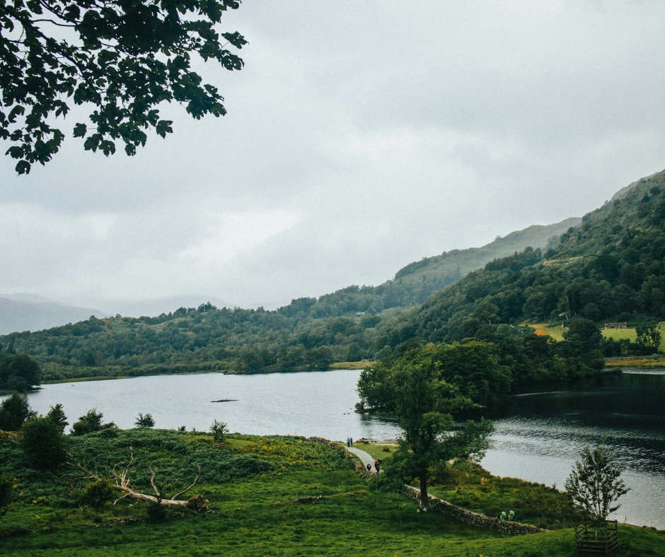 Windermereboats's tweet image. 🐶 Exploring Ambleside with your dog? You’re never far from a good walk.

From Rydal paths to Skelghyll Woods, here are our dependable favourites near Waterhead Pier. 🐾

🔗 ow.ly/BFVM50Yc82K

#Ambleside #LakeDistrict #DogFriendly