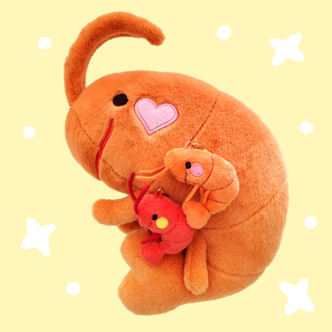 Shrimp n son(s) :3