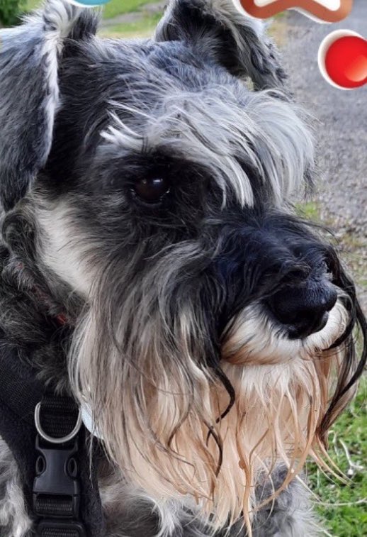 Da Thankful Queendom tweet media