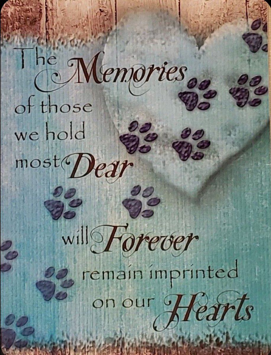 Da Thankful Queendom tweet media