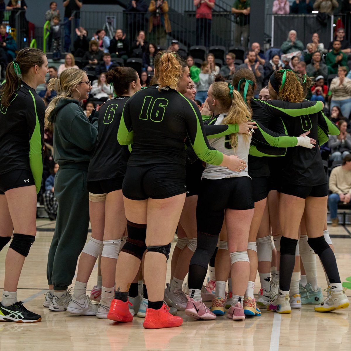 Algonquin Students' Association tweet media