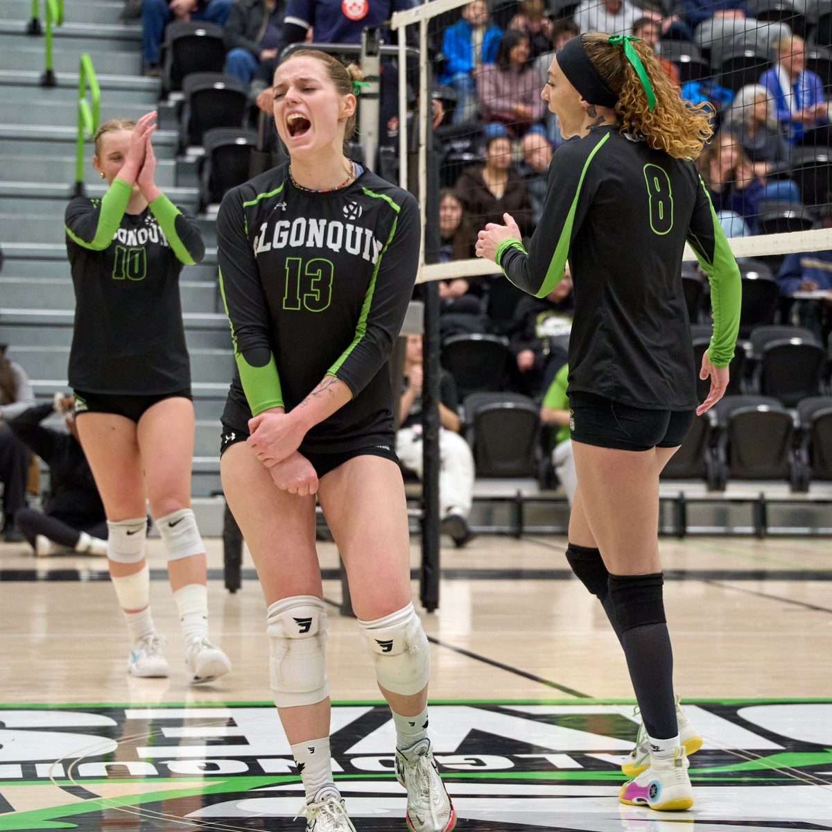 Algonquin Students' Association tweet media