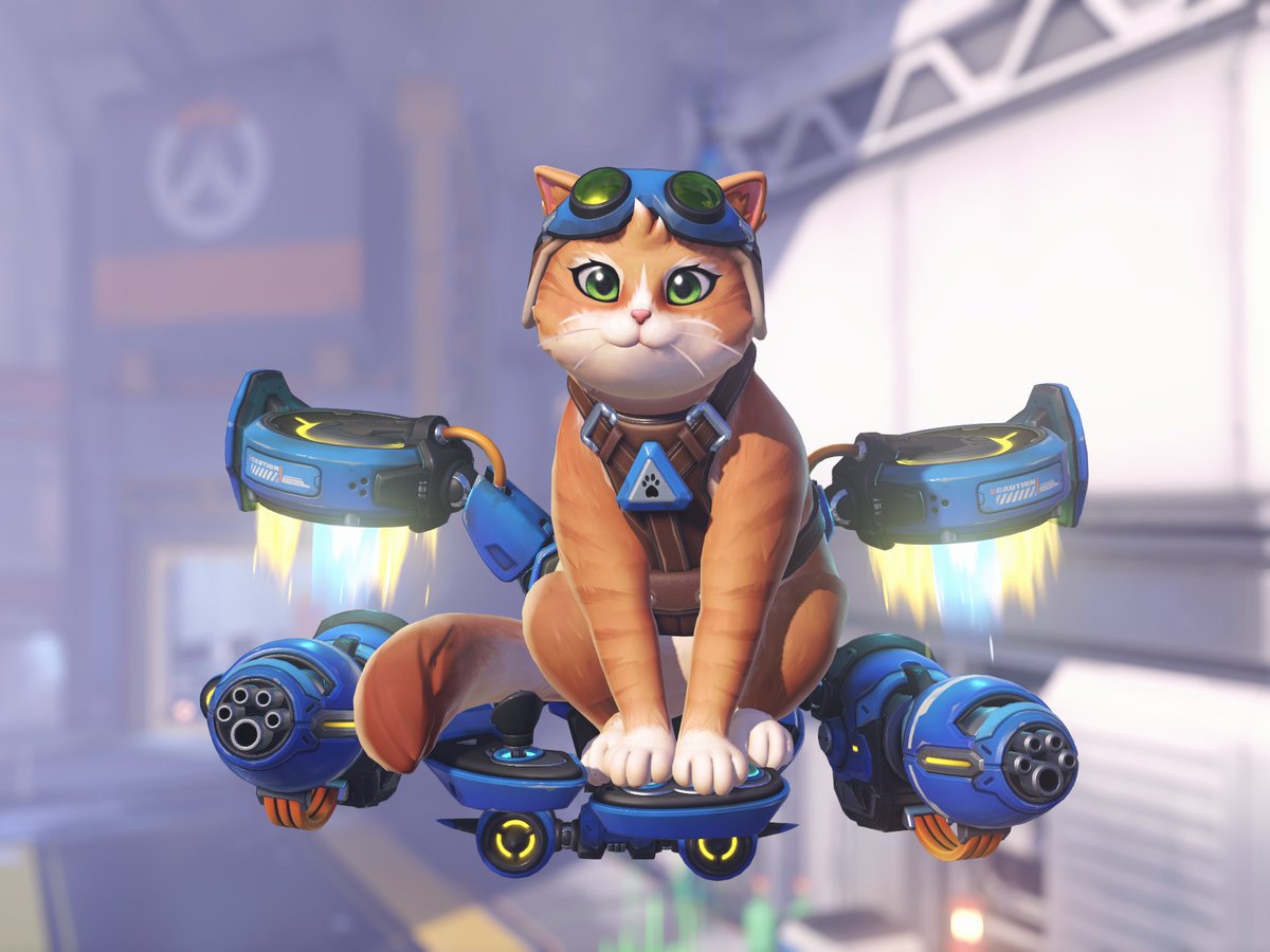 gogglesOTD's tweet photo. the goggles wearing character of the day is jetpack cat from overwatch! https://t.co/Yoewv5neD3