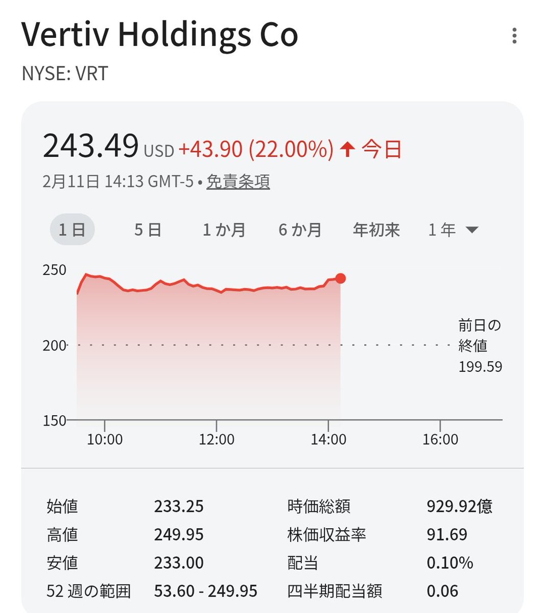 首長最上株物 イワヒバ 金運UP ❻ 超多株２０多幹３０年以上物