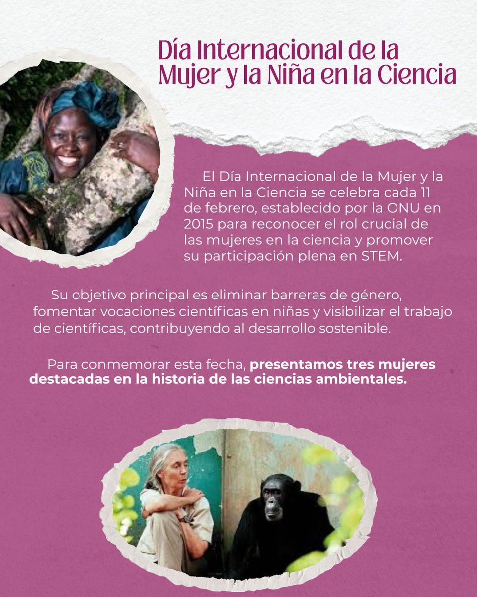 Hoy, #11DeFebrero, se conmemora el Día Internacional de la Mujer y la Niña en la Ciencia, proclamado por la ONU en 2015.