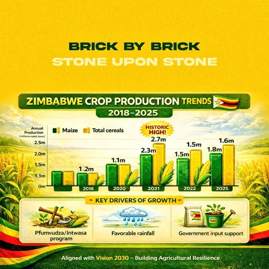 SimangalisoDub5's tweet photo. Brick by brick and stone by stone, #Zimbabwe is rebuilding its agricultural destiny under the visionary leadership of @edmnangagwa. Recent maize and cereal production data reveal a steady upward trajectory, driven by the #Pfumbvudza and #Intwasa programmes, reliable rainfall patterns, and a well‑structured input‑support system that equips farmers with quality seed, fertilizer and technical advice.
These coordinated efforts are not merely boosting yields; they are restoring confidence in the sector and laying the groundwork for #Zimbabwe to reclaim its historic title as “the breadbasket of Africa.” As the harvests swell and supply chains strengthen, the nation moves ever closer to feeding the continent and securing food‑security for future generations #FoodSecurity #Agriculture @AfricanHub_ @SaharaWire @africa_news__ @AfricancelebMAG @oczmk