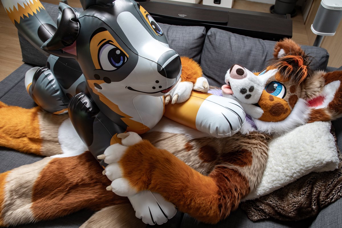 Cuddle time with the super cute squeaky Max The Collie by <a href="/SoftCandyToys/">SoftCandyToys</a> 🥰😚

📸 <a href="/BriarCollie/">Briar 🐑 🔜 NFC</a>