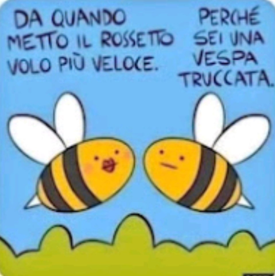 tullionucc28457's tweet image. 