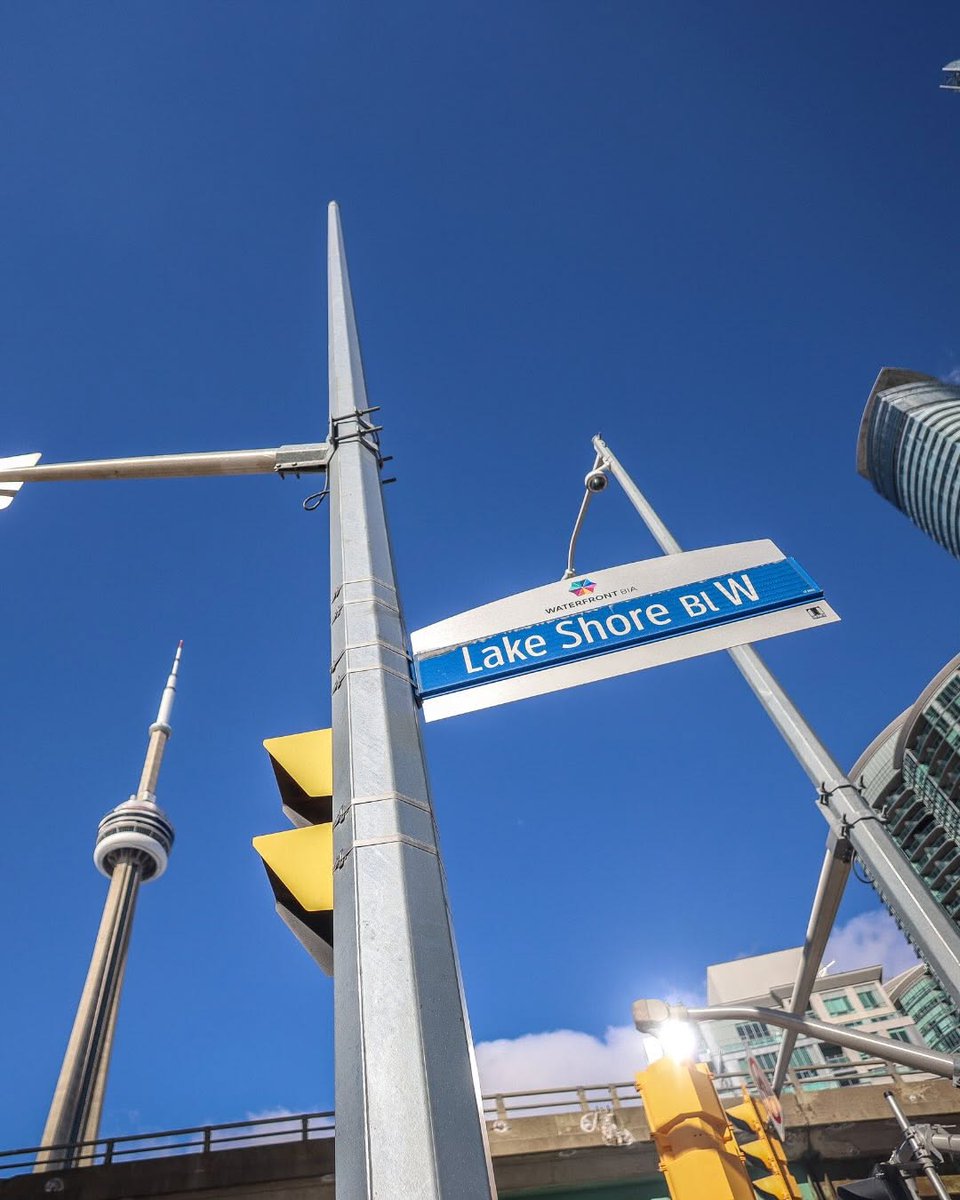 Natasha Koifman tweet media