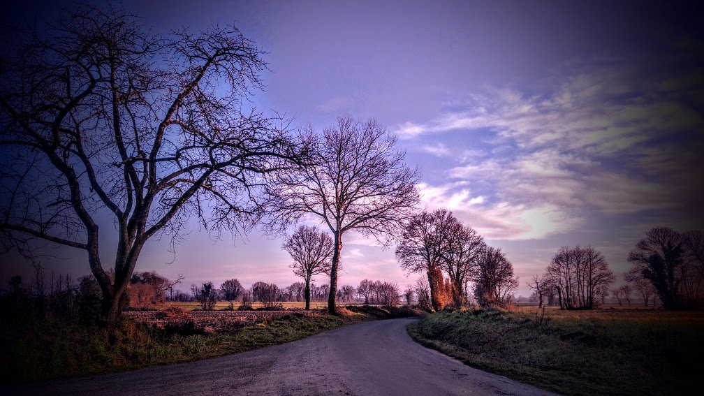 Z I B E T H R O S E | Inspiration & Motivation 🌹 tweet media