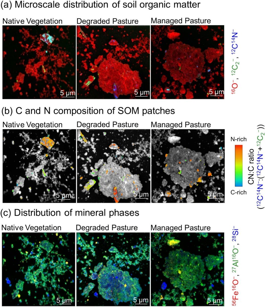 Geoderma - the global #OA journal of soil science tweet media