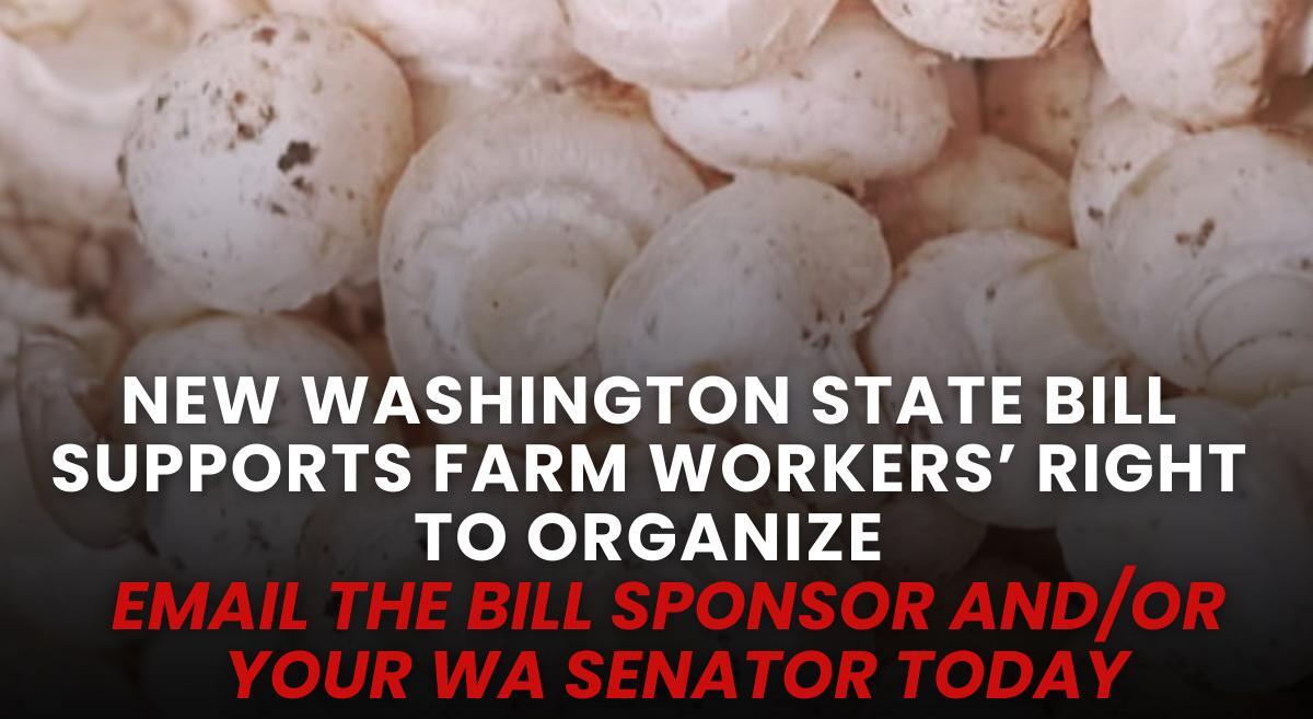 United Farm Workers tweet media
