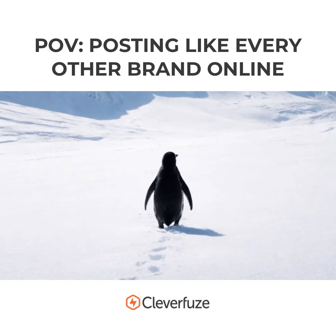 Cleverfuze LLC tweet media