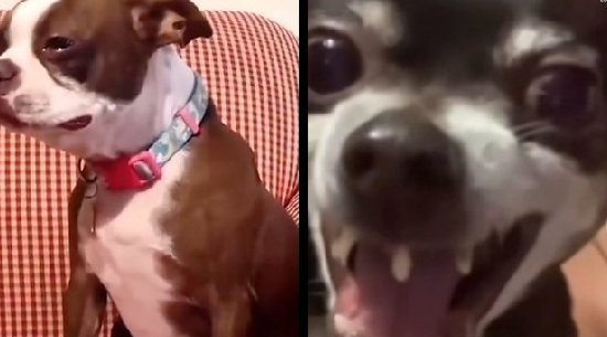 No playing s£x when you are poor

Women.                         Men