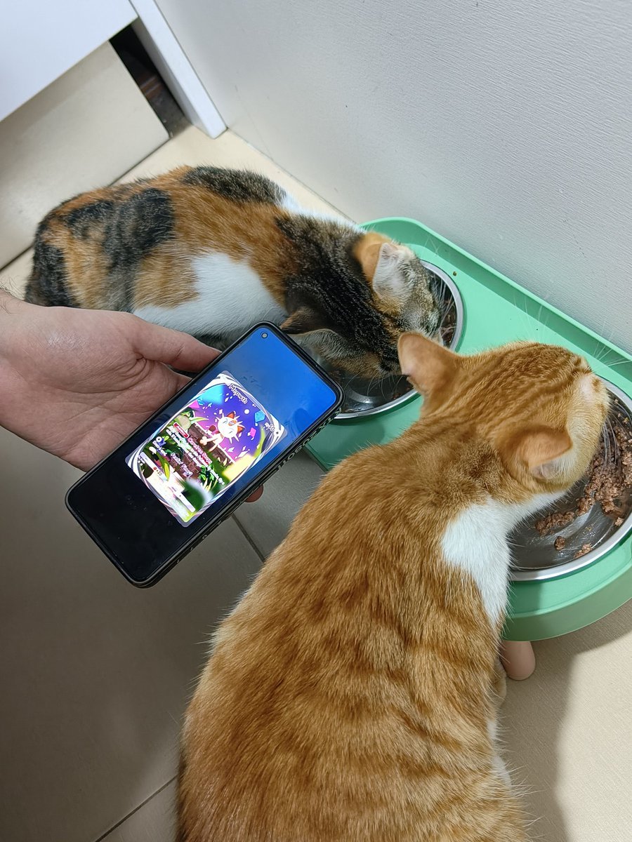 <a href="/ElBardo22/">El Bardo</a> : 'Oye si me abro un sobre mientras comen los mininos da suerte?'
(le sale la inmersiva de gratis)