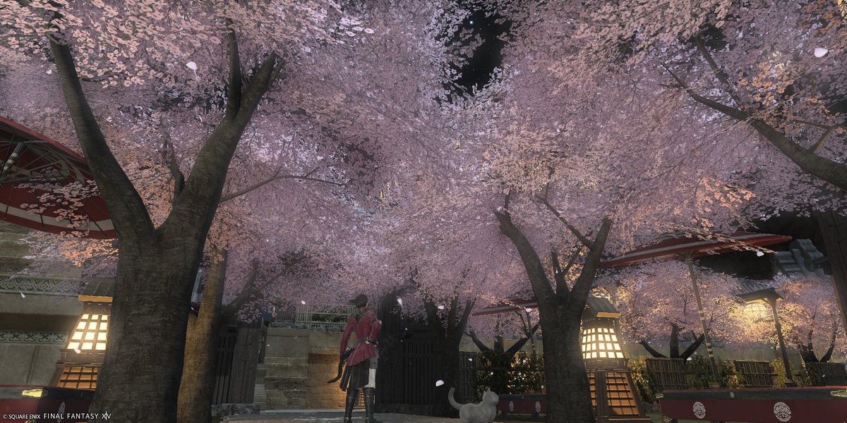 猫科@MoE_D tweet media