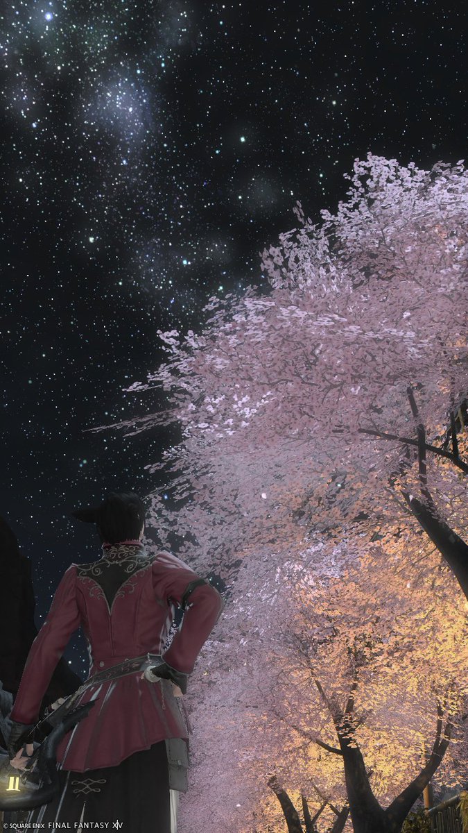 猫科@MoE_D tweet media