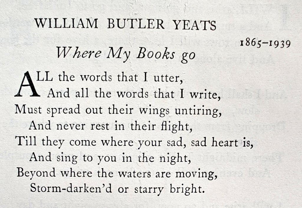 Rachel Christine tweet media