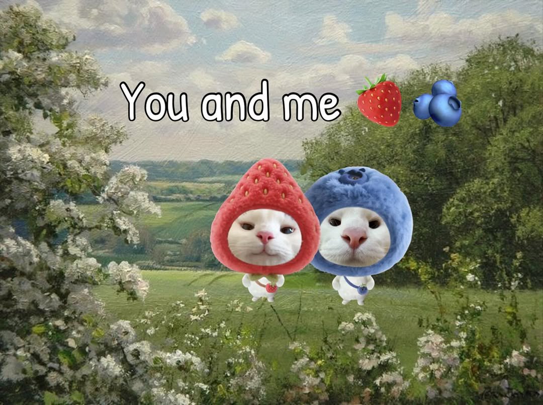 cats.jpg (@catsdotjpg) on Twitter photo 