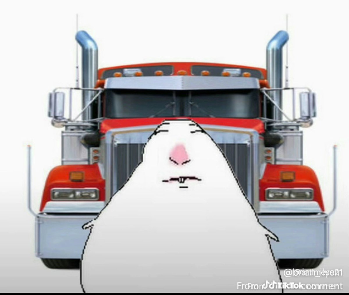 Erick 🐳 tweet media