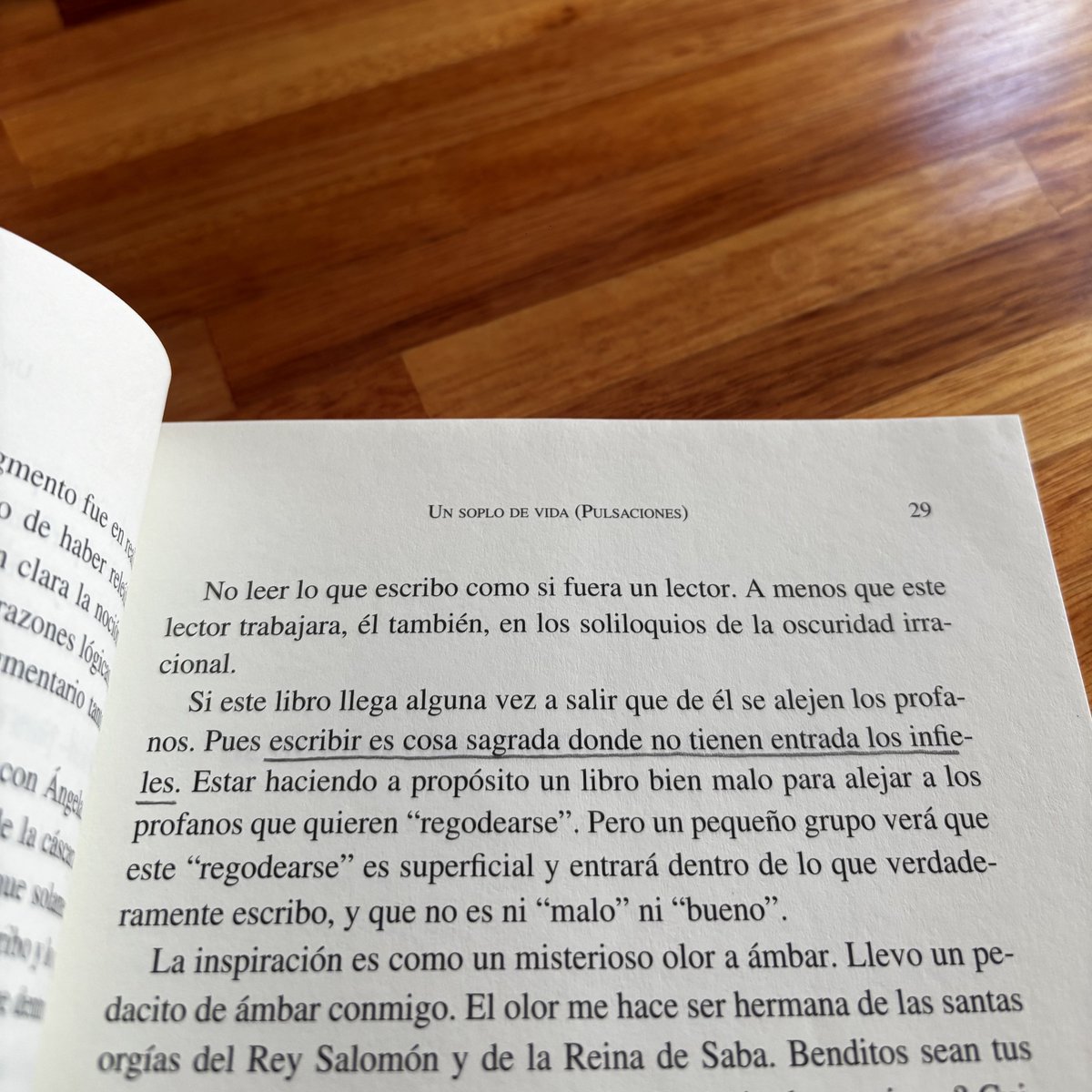 Rodrigo Zacheo 🇺🇾 (@rodrigozacheok) on Twitter photo 