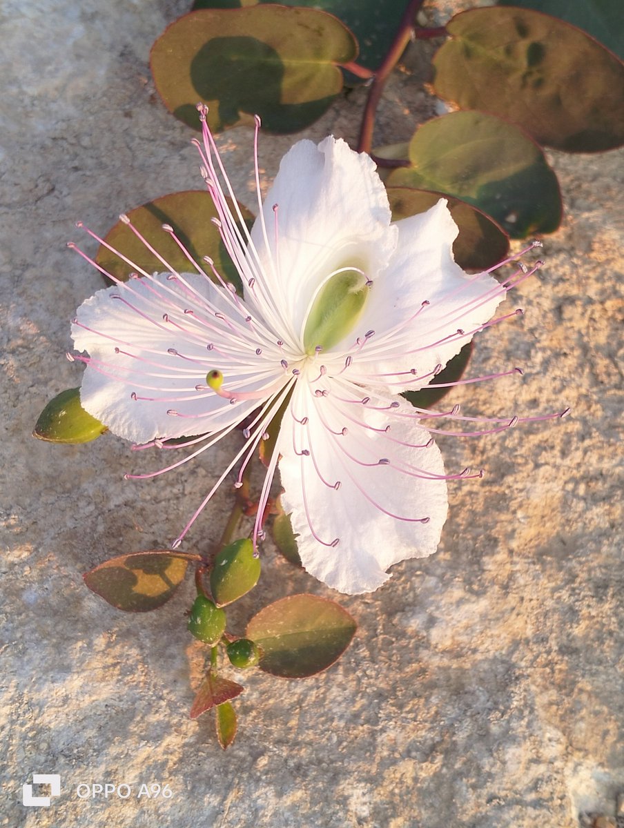 #nessunoSa 
<a href="/UnTemaAlGiorno/">#UnTemaAlGiorno</a>