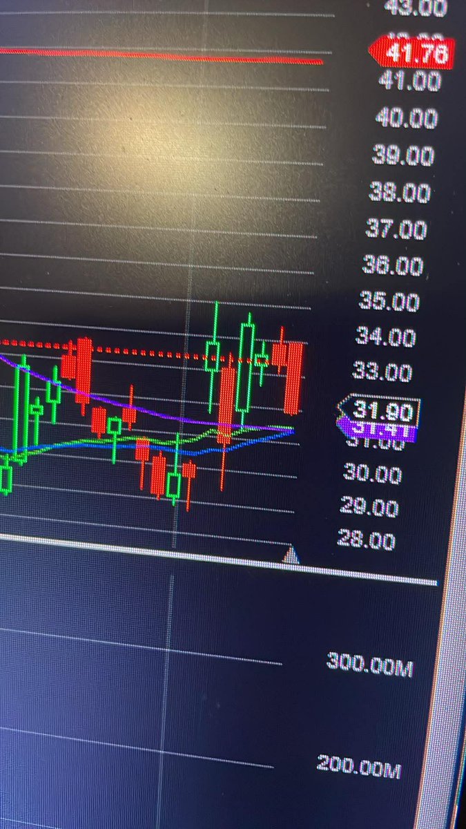 Theresa Perrin tweet media