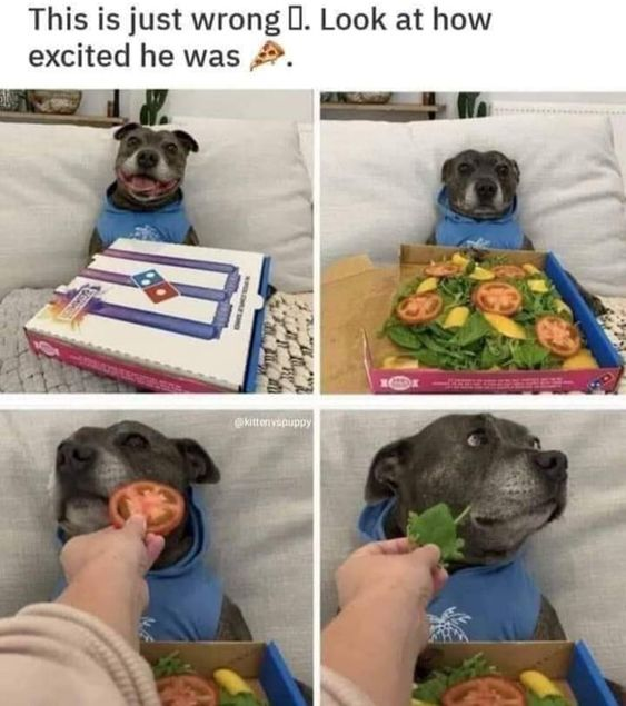 WholesomeMemes tweet media