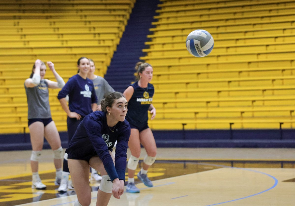 Murray State Volleyball tweet media