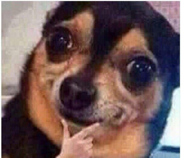 Ana_Ternski's tweet image. thinking about adding post-timeskip Sanja little horns and hooves because owldeer is a super cool concept