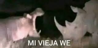 Tamepechangow tweet media