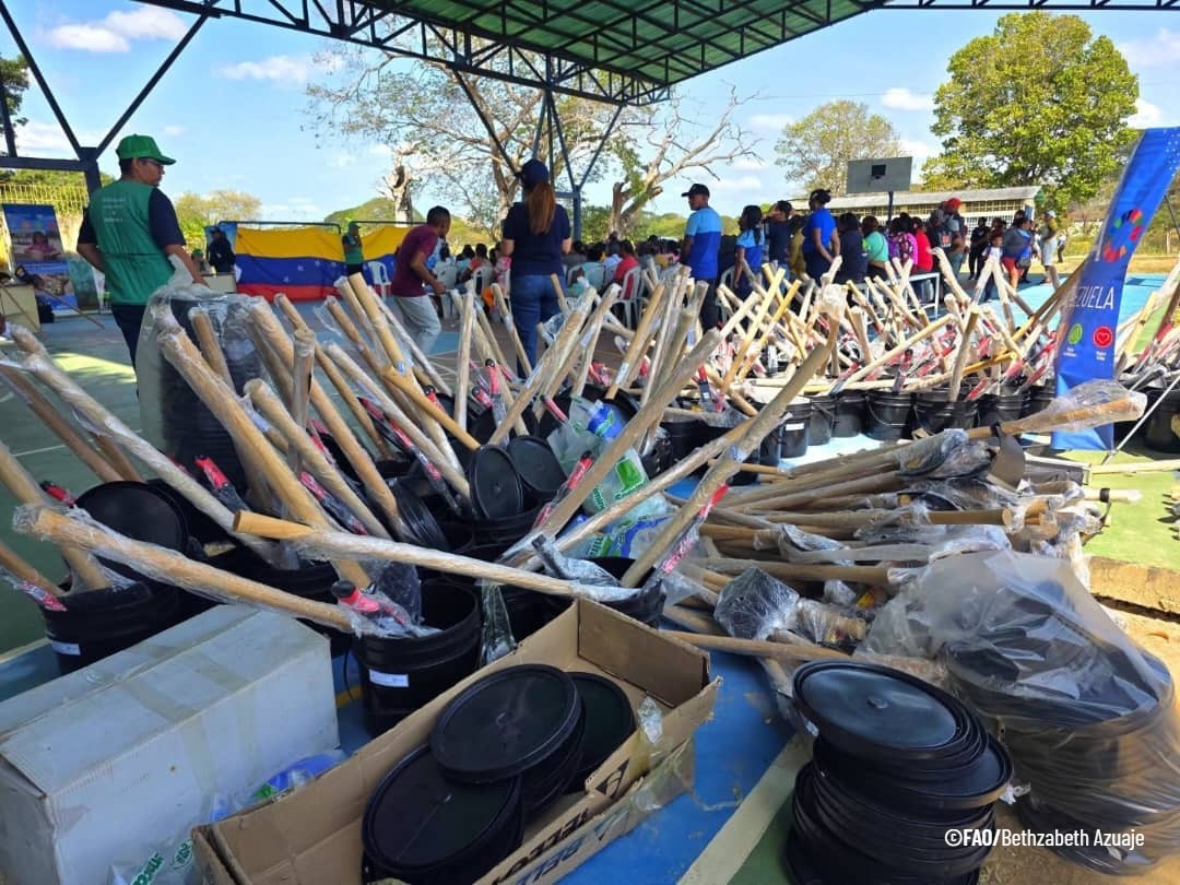 FAO VENEZUELA tweet media